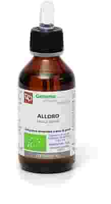 ALLORO MACERATO GLICERICO 100 ML BIO