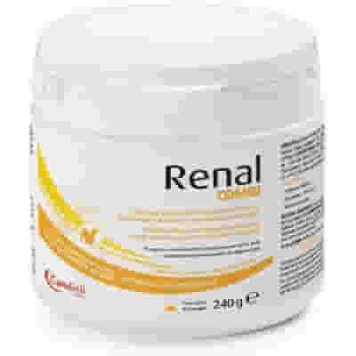 RENAL COMBI POLVERE 240 G