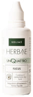 UNIQUATTRO FUCUS 50 ML