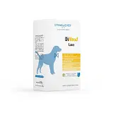 DIMOOD LARGE 20 BUSTINE DA 10 G