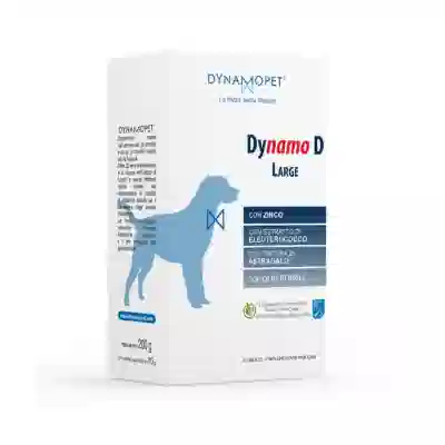 DYNAMO D LARGE 20 BUSTINE DA 10 G
