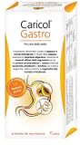 CARICOL GASTRO 20 BUSTINE DA 20 G