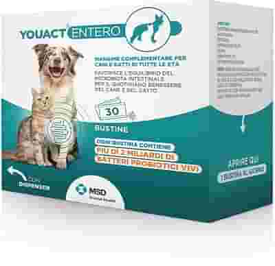 YOUACT ENTERO 30 BUSTINE
