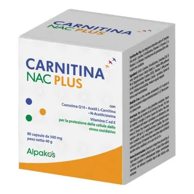 bcaa con l carnitina Amazon.com: Sascha Fitness BCAA 4:1:1 + Glutamina, HMB, L-Carnitina, HICA bcaa con l carnitina Amazon.com: Sascha Fitness BCAA 4:1:1 + Glutamina, HMB, L-Carnitina, HICA