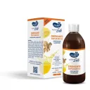 SAUBER DRENANTE DEPURATIVO 500 ML