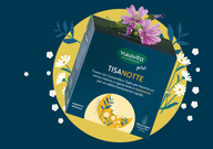 NEAVITA FILTROSCRIGNO TISANOTTE 21 FILTRI