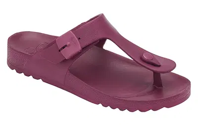 BAHIA FLIP-FLOP EVA WOMAN WINE 36 MATERIALE EVA FODERA TOMAIA SFODERATO SOTTOPIEDE EVA SUOLA EVA FITTING F ALTEZZA TACCO 20 COLLEZIONE SS23 BAHIA FLIP-FLOP EVA WOMAN WINE 36 MATERIALE EVA FODERA TOMAIA SFODERATO SOTTOPIEDE EVA SUOLA EVA FITTING F ALTEZZA TACCO 20 COLLEZIONE SS23