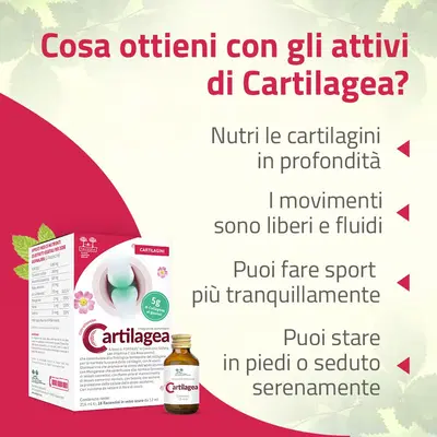 CARTILAGEA SALUGEA 18 FLACONCINI DA 12 ML CARTILAGEA SALUGEA 18 FLACONCINI DA 12 ML