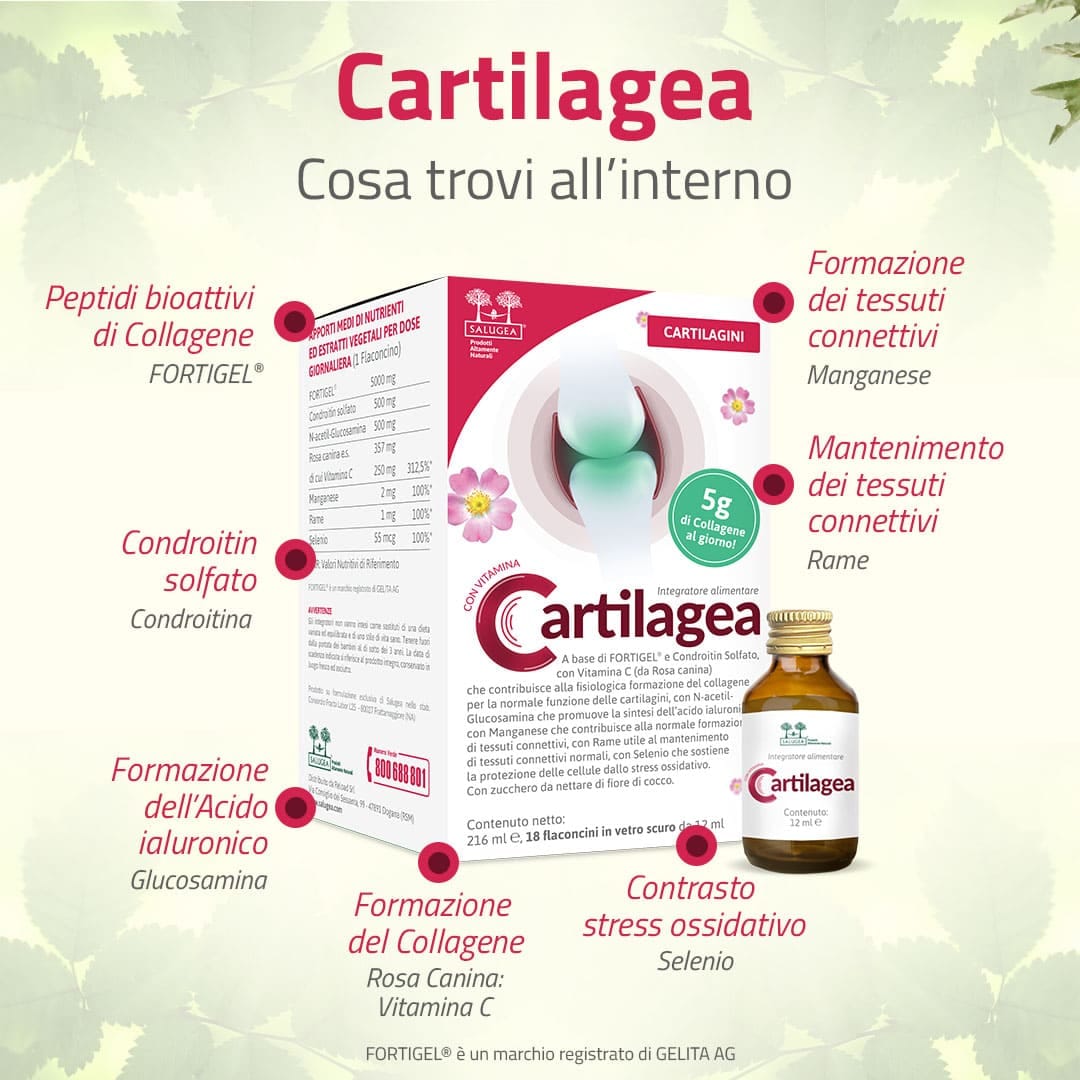 CARTILAGEA SALUGEA 18 FLACONCINI DA 12 ML
