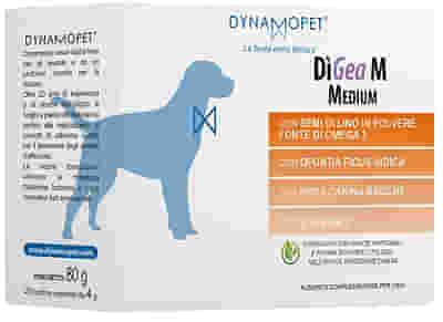 DIGEA M 20 BUSTINE DA 4 G