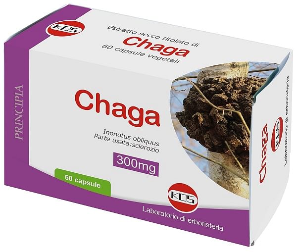 Chaga Estratto Secco Titolato 60 Capsule Vegetali