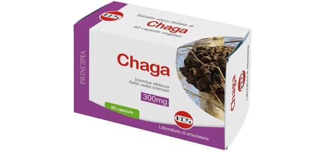 Chaga Estratto Secco Titolato 60 Capsule Vegetali
