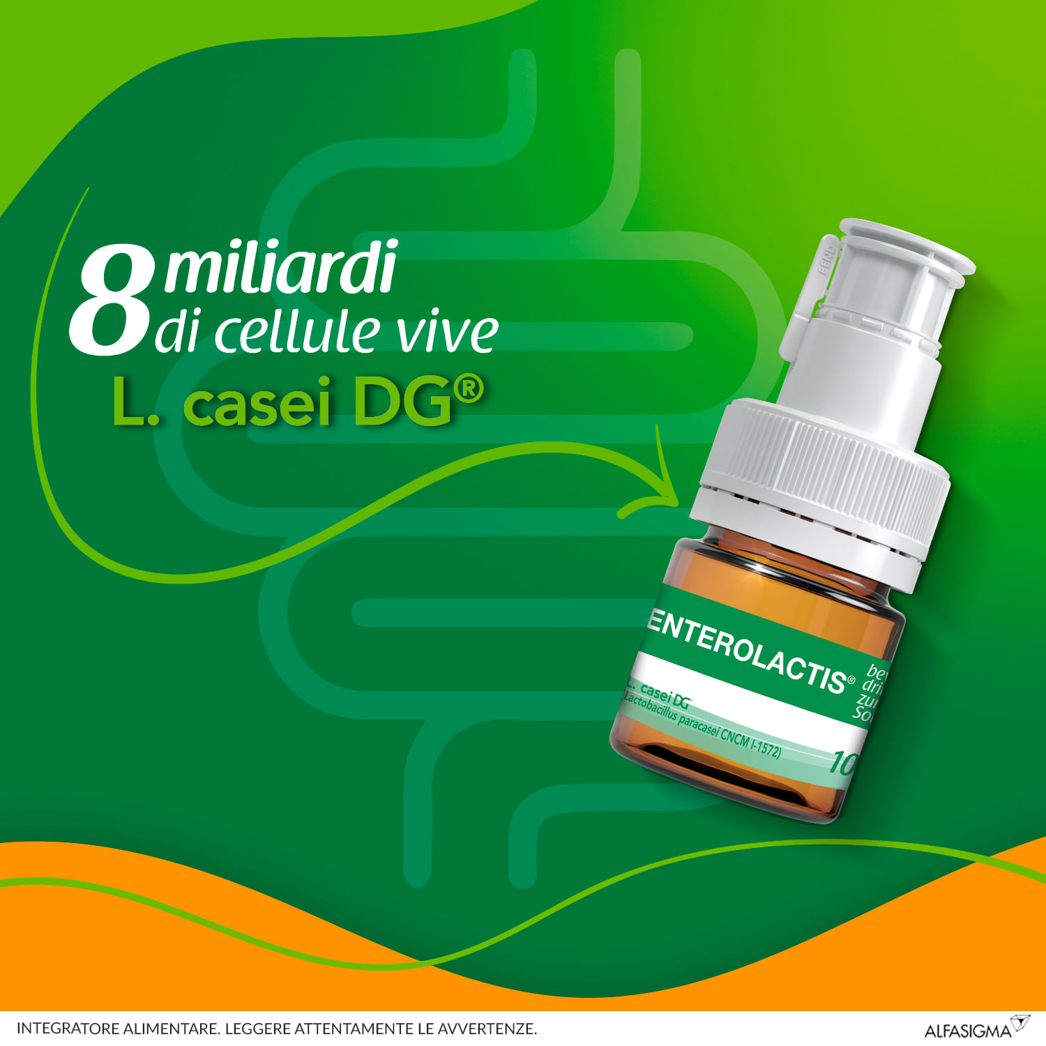 ENTEROLACTIS BEVIBILE 6 FLACONCINI X 10 ML