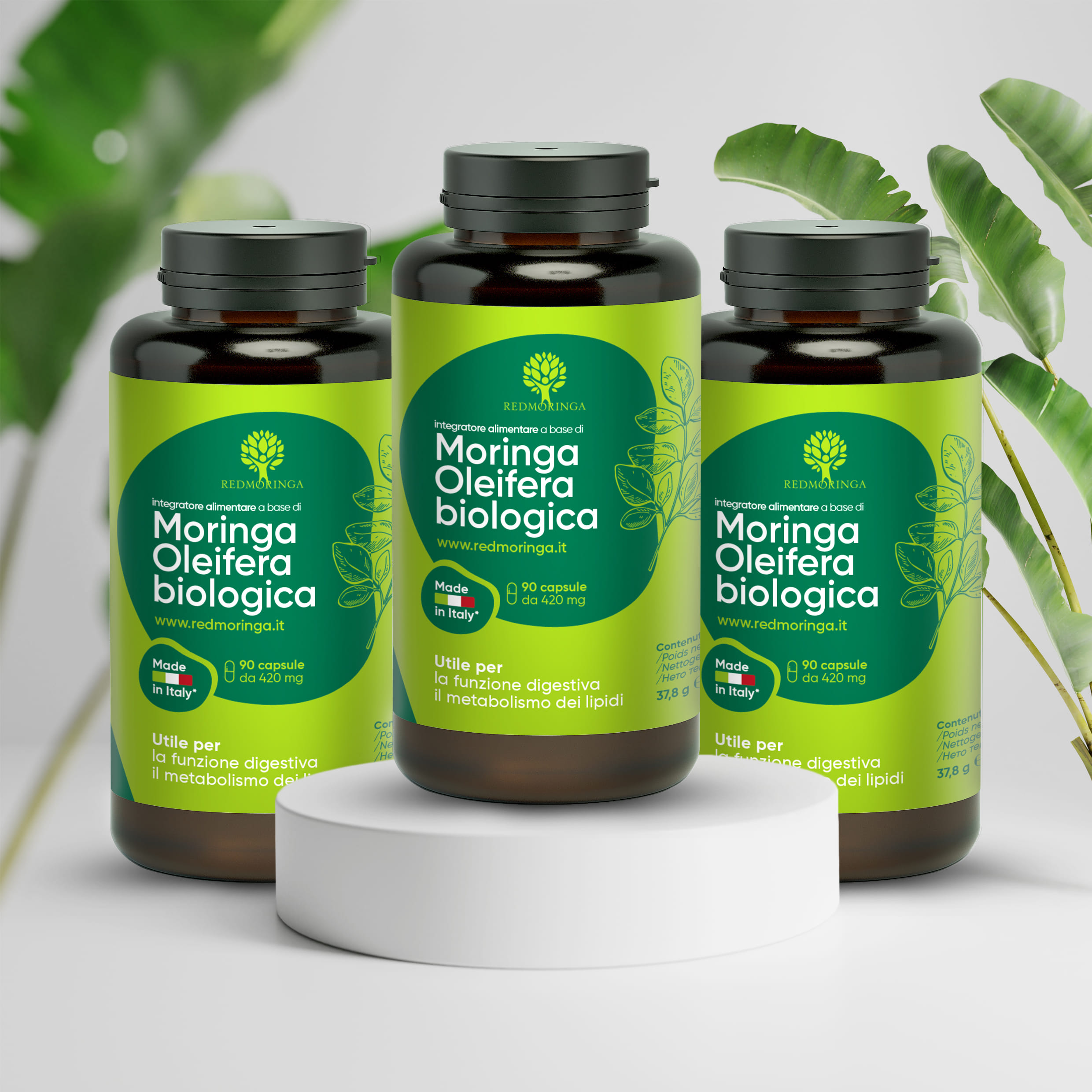 REDMORINGA MORINGA OLEIFERA BIO MB 90 CAPSULE