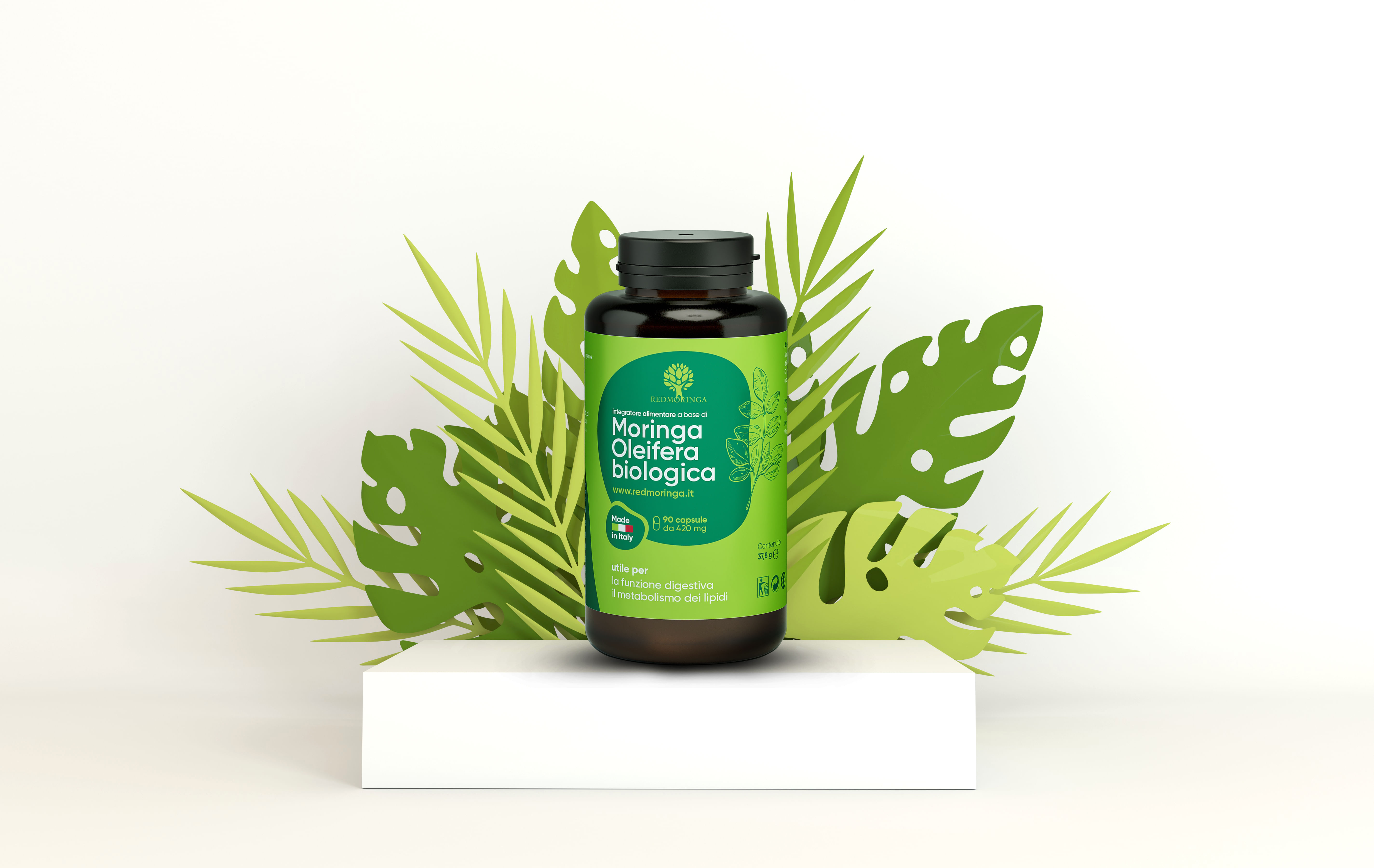 REDMORINGA MORINGA OLEIFERA BIO MB 90 CAPSULE