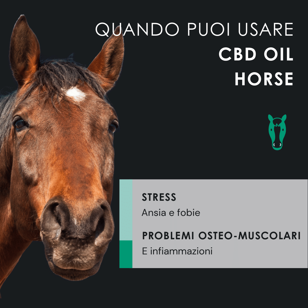 Eusphera CBD OIL HORSE - Olio rilassante per cavalli