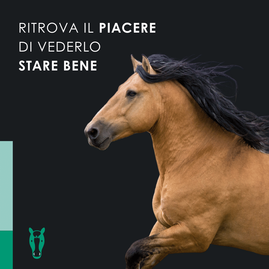 Eusphera CBD OIL HORSE 