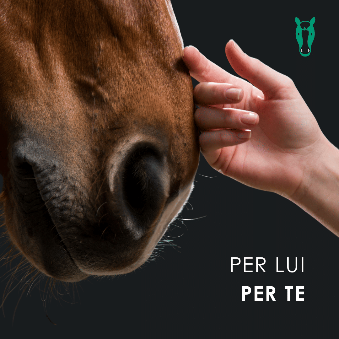 Eusphera CBD OIL HORSE - Olio rilassante per cavalli