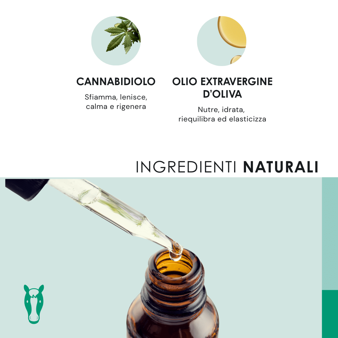 Eusphera CBD OIL HORSE - Olio rilassante per cavalli