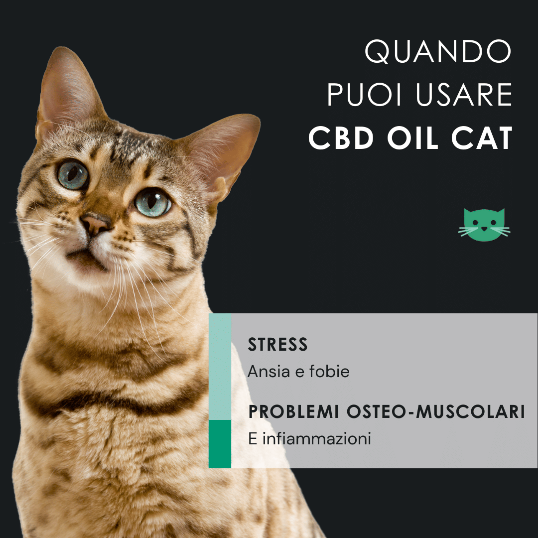 Eusphera CBD OIL CAT - Olio Naturale per Gatti