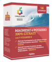 MAGNESIO POTASSIO VIT B 14 STICK