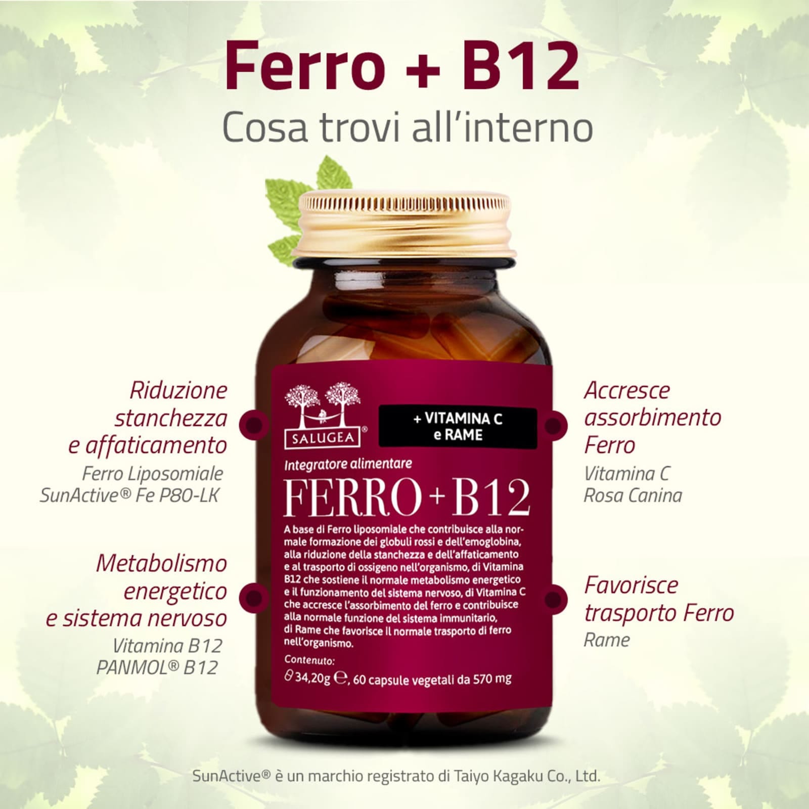 SALUGEA FERRO + B12 60 CAPSULE
