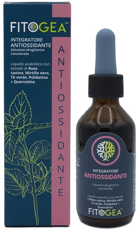 FITOGEA ANTIOSSIDANTE 100 ML