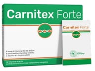 CARNITEX FORTE 14 BUSTINE