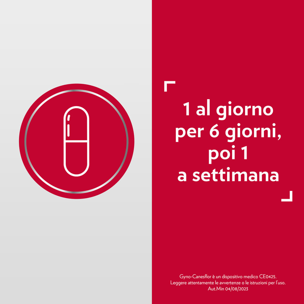 GYNO-CANESFLOR 10 CAPSULE VAGINALI