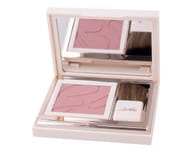 DEFENCE COLOR PRETTY TOUCH FARD COMPATTO 303 BOIS DE ROSE