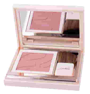DEFENCE COLOR PRETTY TOUCH FARD COMPATTO 303 BOIS DE ROSE
