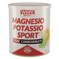 WHYSPORT MAGNESIO POTASSIO SPORT 300 G