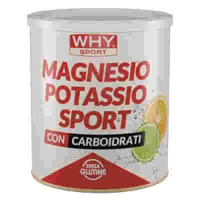 WHYSPORT MAGNESIO POTASSIO SPORT 300 G