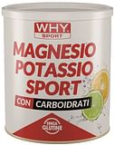 WHYSPORT MAGNESIO POTASSIO SPORT 300 G