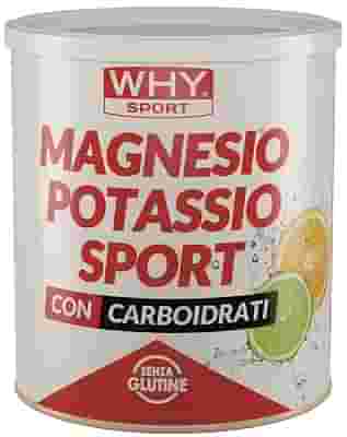 WHYSPORT MAGNESIO POTASSIO SPORT 300 G