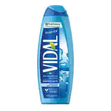 VIDAL BAGNODOCCIA POLAR ICE 500 ML