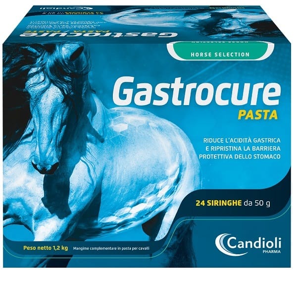 GASTROCURE 24 SIRINGHE PRERIEMPITE MANGIME COMPLEMENTARE IN PASTA CAVALLI