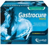 GASTROCURE 24 SIRINGHE PRERIEMPITE MANGIME COMPLEMENTARE IN PASTA CAVALLI