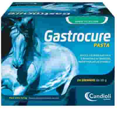 GASTROCURE 24 SIRINGHE PRERIEMPITE MANGIME COMPLEMENTARE IN PASTA CAVALLI