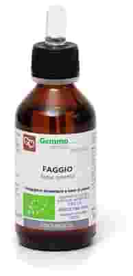 FAGGIO MACERATO GLICERICO 100 ML BIO