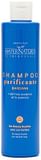 SHAMPOO PURIFICANTE BARDANA 250 ML