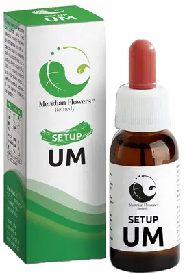 SETUP UM 10 ML MERIDIAN FLOWERS REMEDY SETUP UM 10 ML MERIDIAN FLOWERS REMEDY