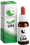 SETUP UM 10 ML MERIDIAN FLOWERS REMEDY
