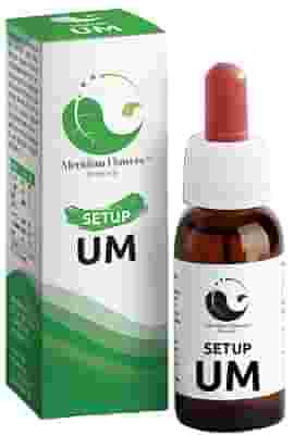 SETUP UM 10 ML MERIDIAN FLOWERS REMEDY