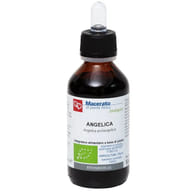 ANGELICA TINTURA MADRE 100 ML BIO