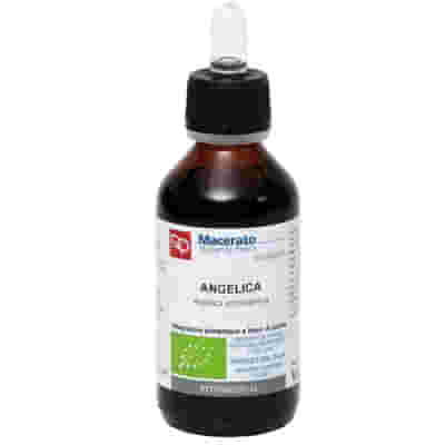 ANGELICA TINTURA MADRE 100 ML BIO
