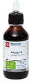 ANGELICA TINTURA MADRE 100 ML BIO