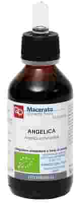 ANGELICA TINTURA MADRE 100 ML BIO