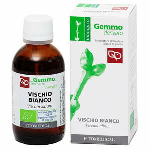 SORBO MACERATO GLICERICO 100 ML BIO