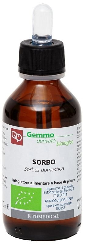 Sorbo Macerato Glicerico 100 Ml Bio